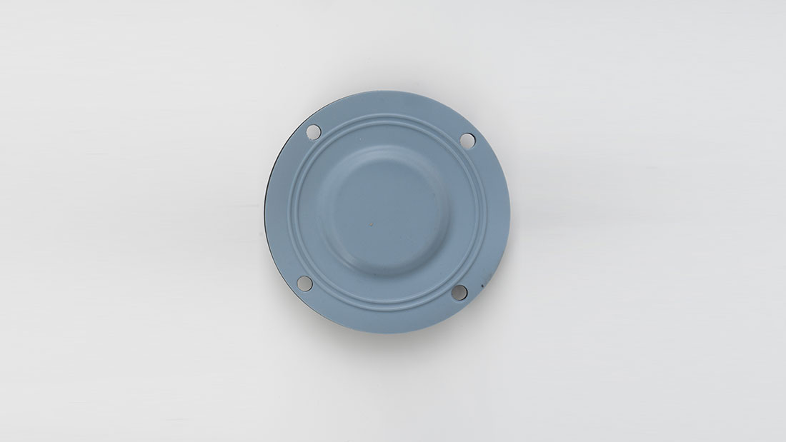 ProMinent 811456 diaphragm for gamma/a, gamma/b, CONa, EXBa — prominent pump by ProMinent