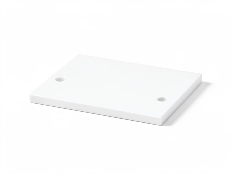 LMI Plate — 26562 — lmi pump by LMI Milton Roy