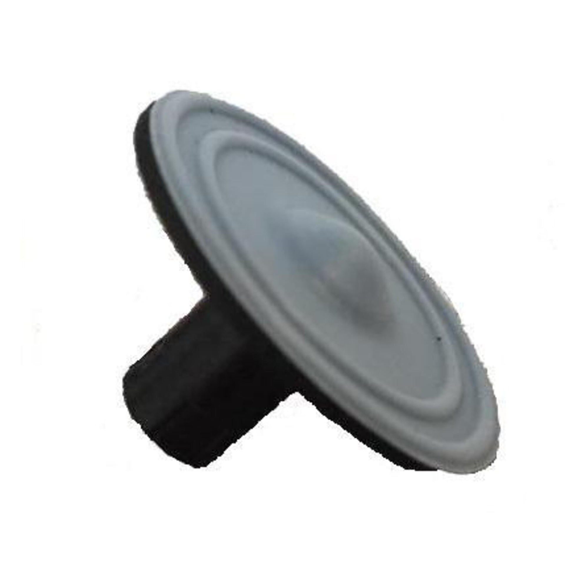 ProMinent 1000245 Liquifram diaphragm — prominent pump by ProMinent