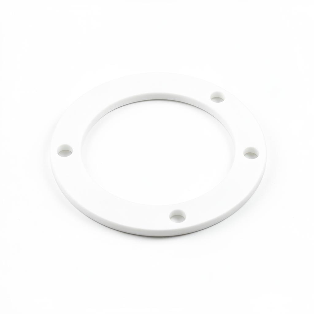 Teflon Gasket — gorman-rupp pump by Gorman-Rupp