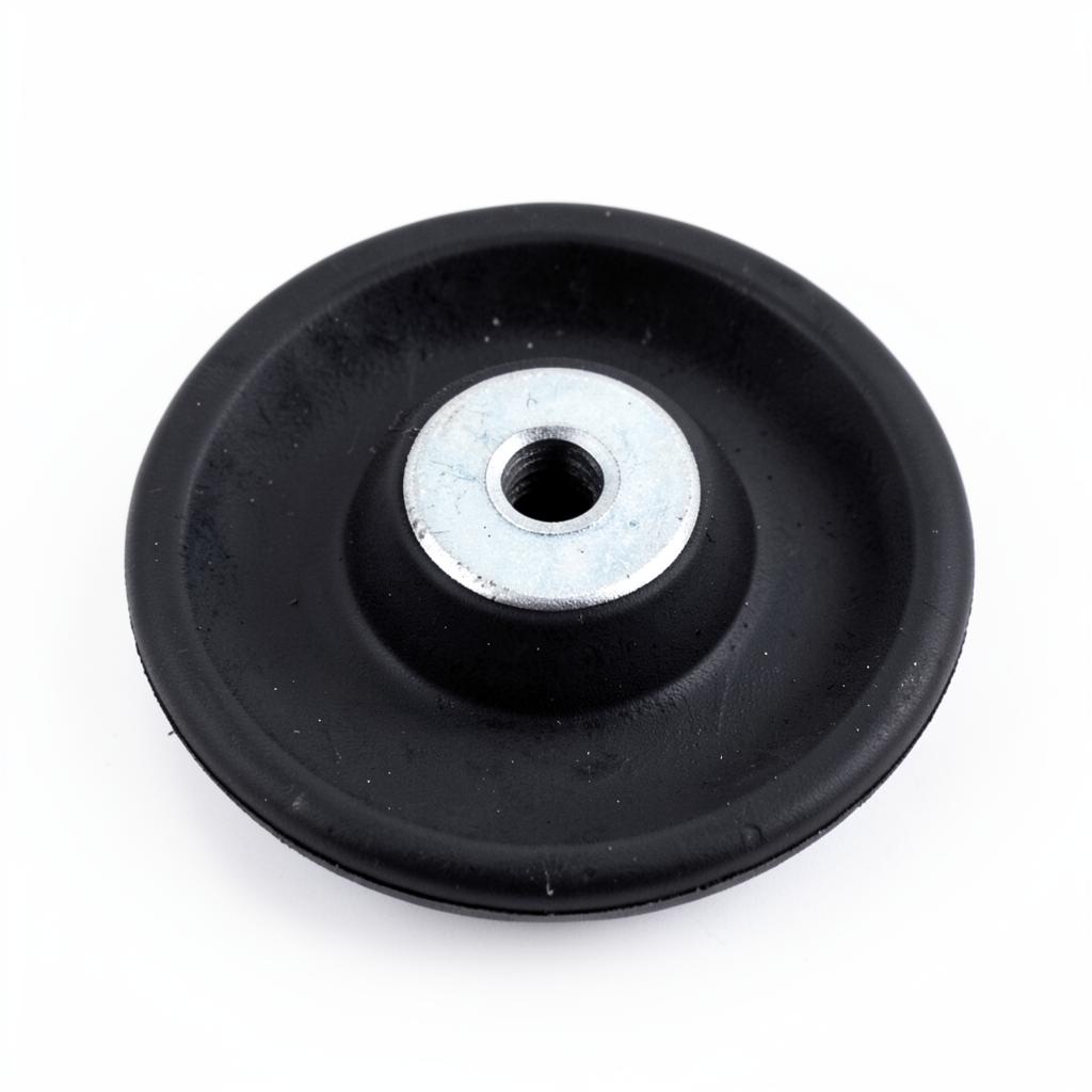 Diaphragm Neoprene 1" — 286-031-365 — sandpiper pump by Sandpiper