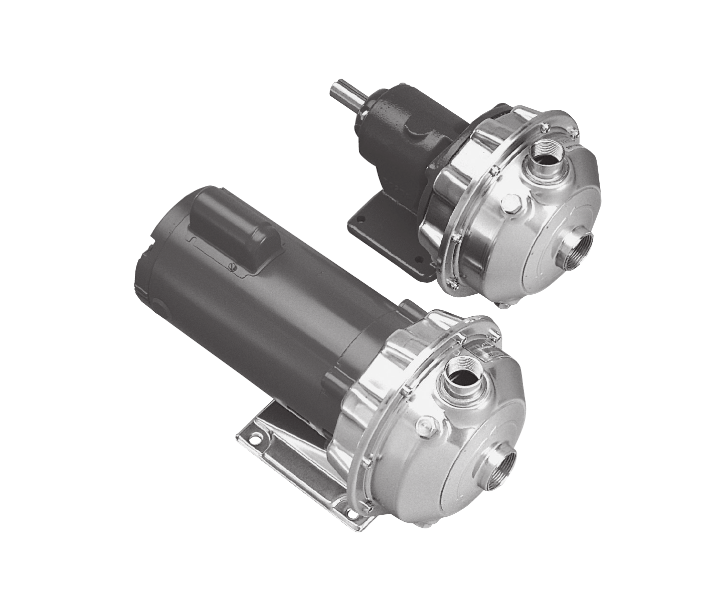 Goulds NPE 316L SS pump, 1.5 HP, 3/60/575V TEFC, 4.25" impeller — goulds pump by Goulds