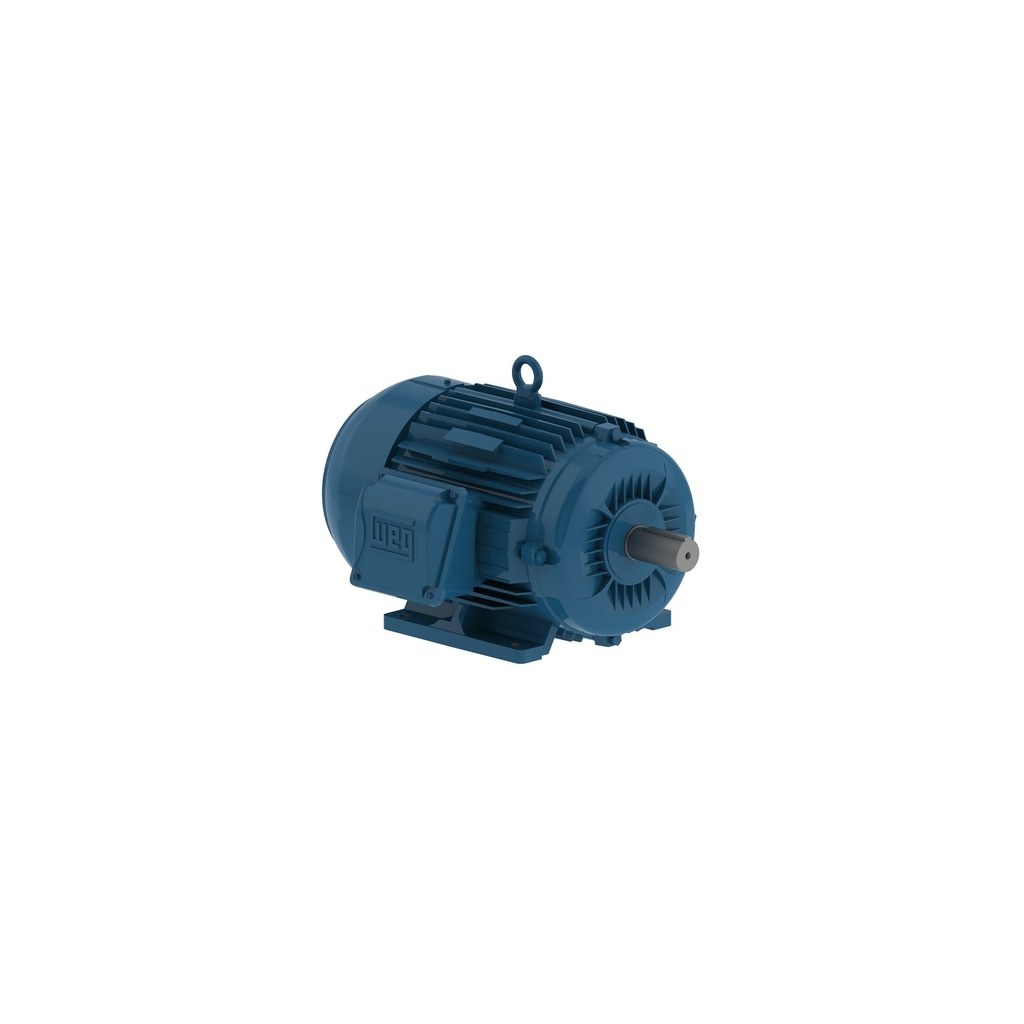 TEFC industrial electric motor stocked by Pump Depot